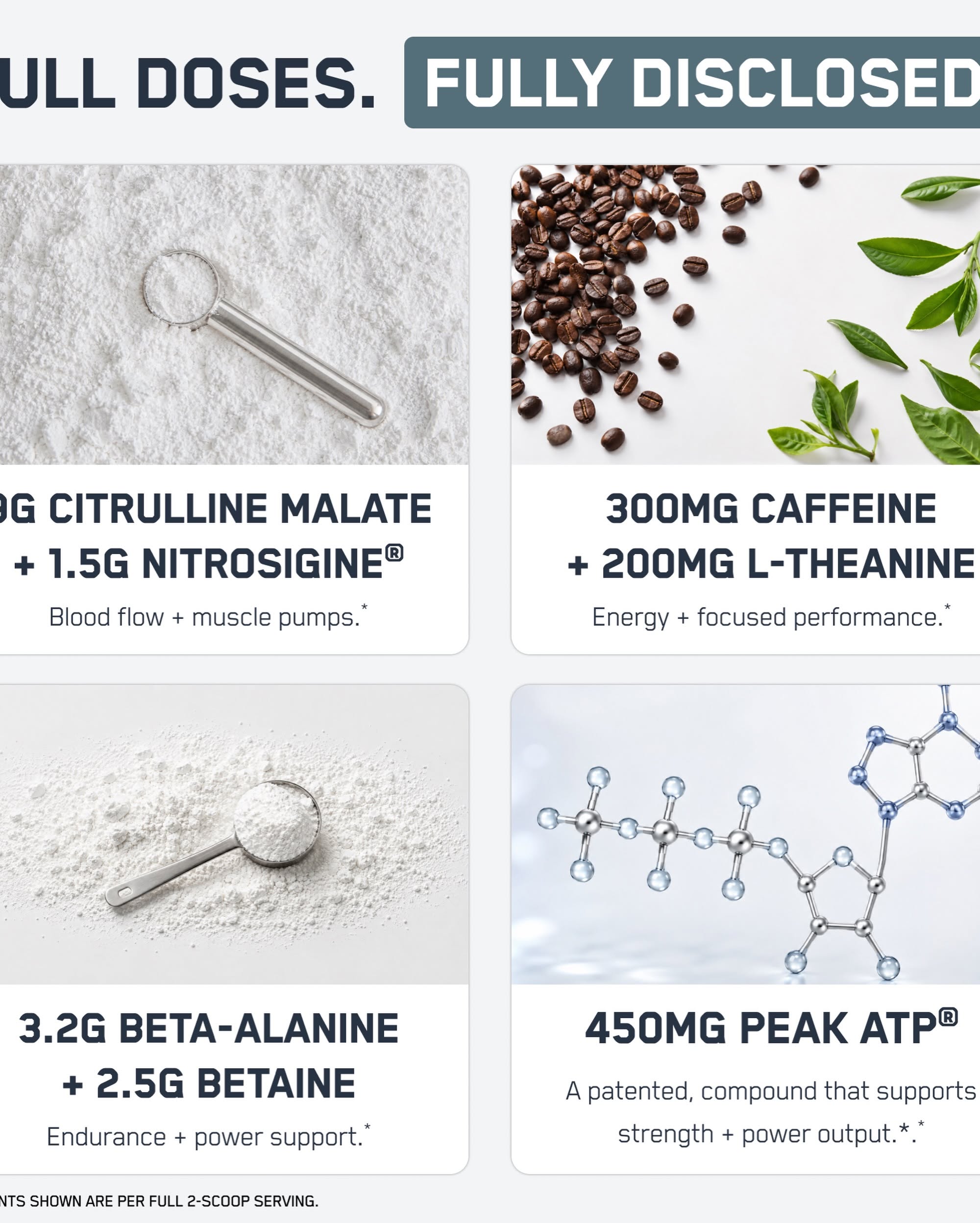 SteelFit Steel Fuel