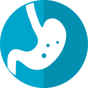 Stomach Icon