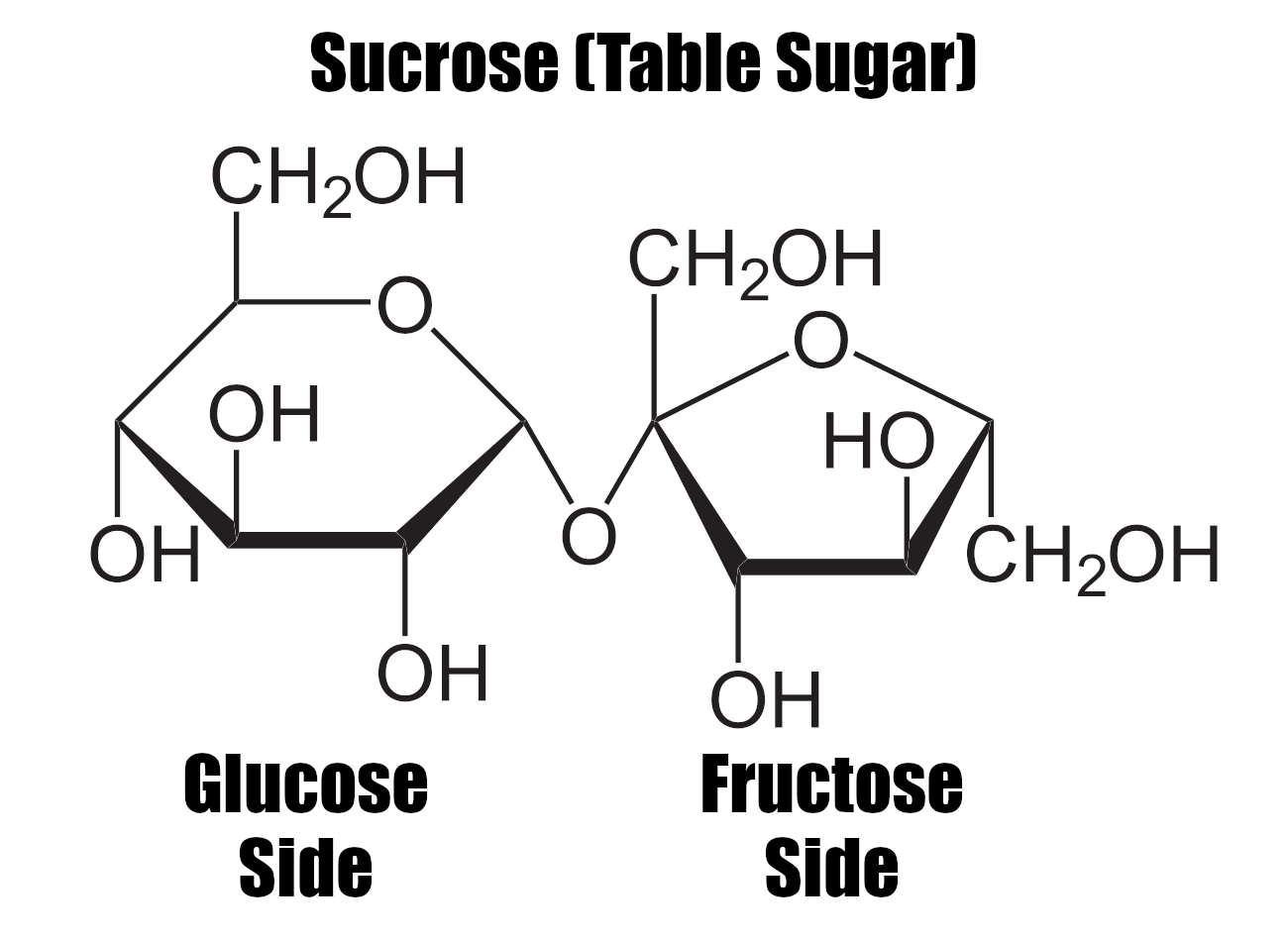 Sucrose (Table Sugar)