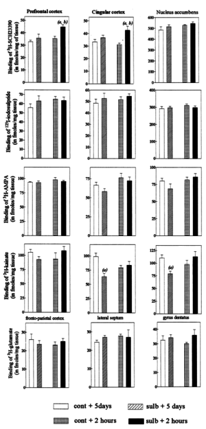 Sulbutiamine Glutaminergic Receptors: Effect of a chronic treatment by sulbutiamine on the density of glutamatergic and dopaminergic binding sites in various cerebral structures.<sup>[1]</sup>