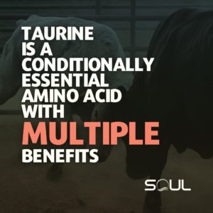 Taurine is Conditionally Essential