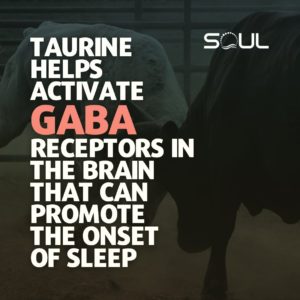 Taurine GABA Receptors