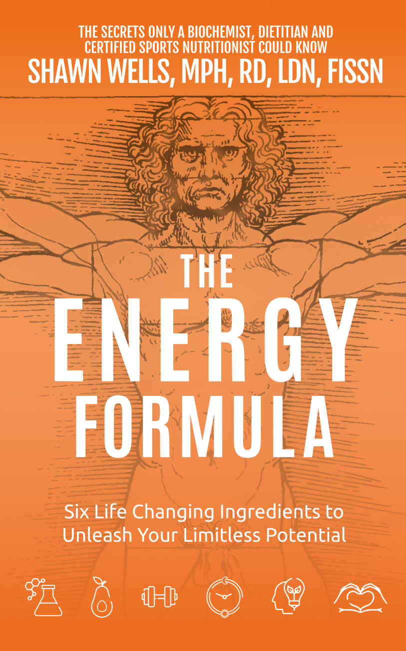 The ENERGY Formula by Shawn Wells