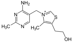 Here's a molecule of regular naturally-occurring thiamin for comparison