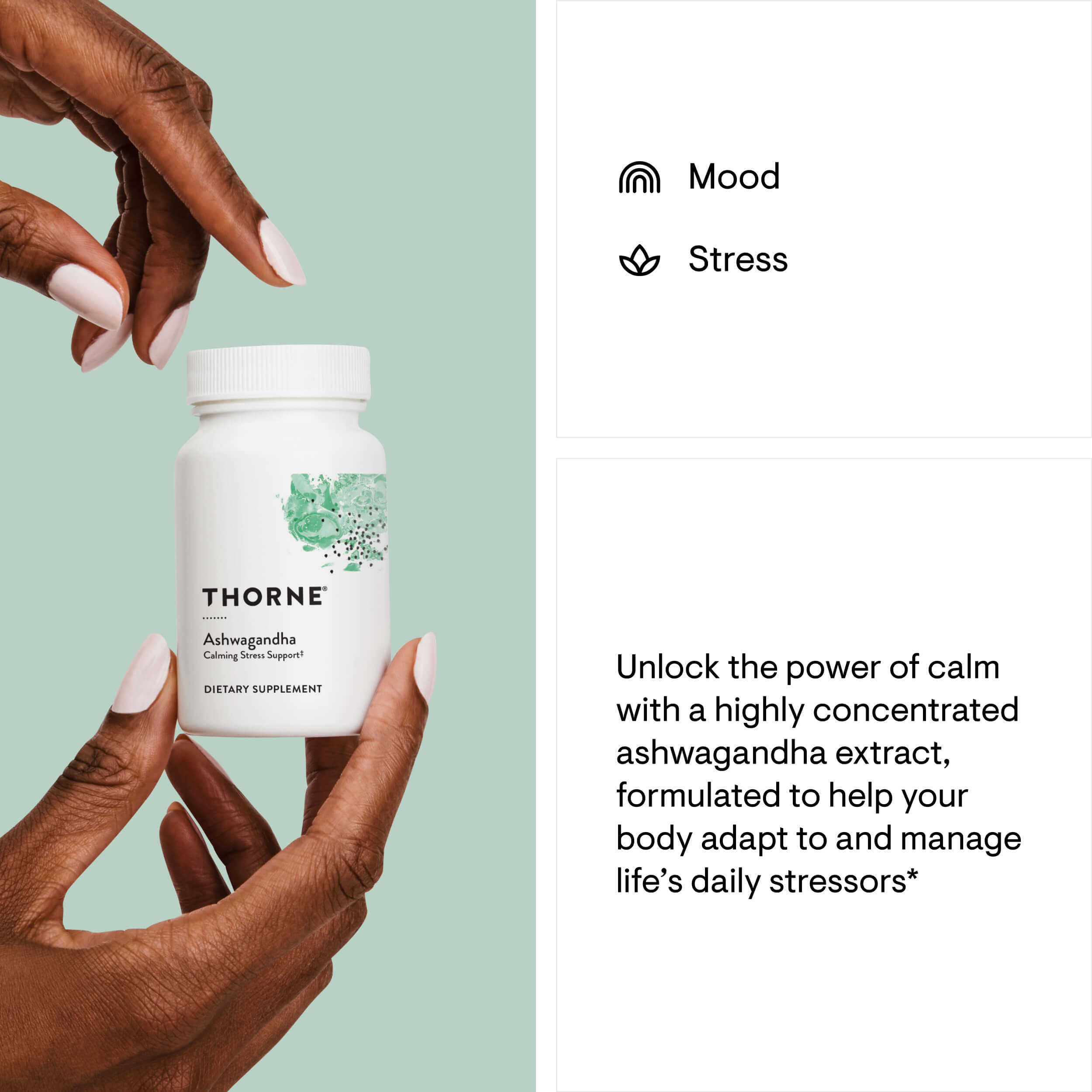 Thorne Ashwagandha Benefits