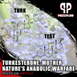 Turkesterone