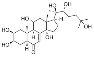 Turkesterone Structure