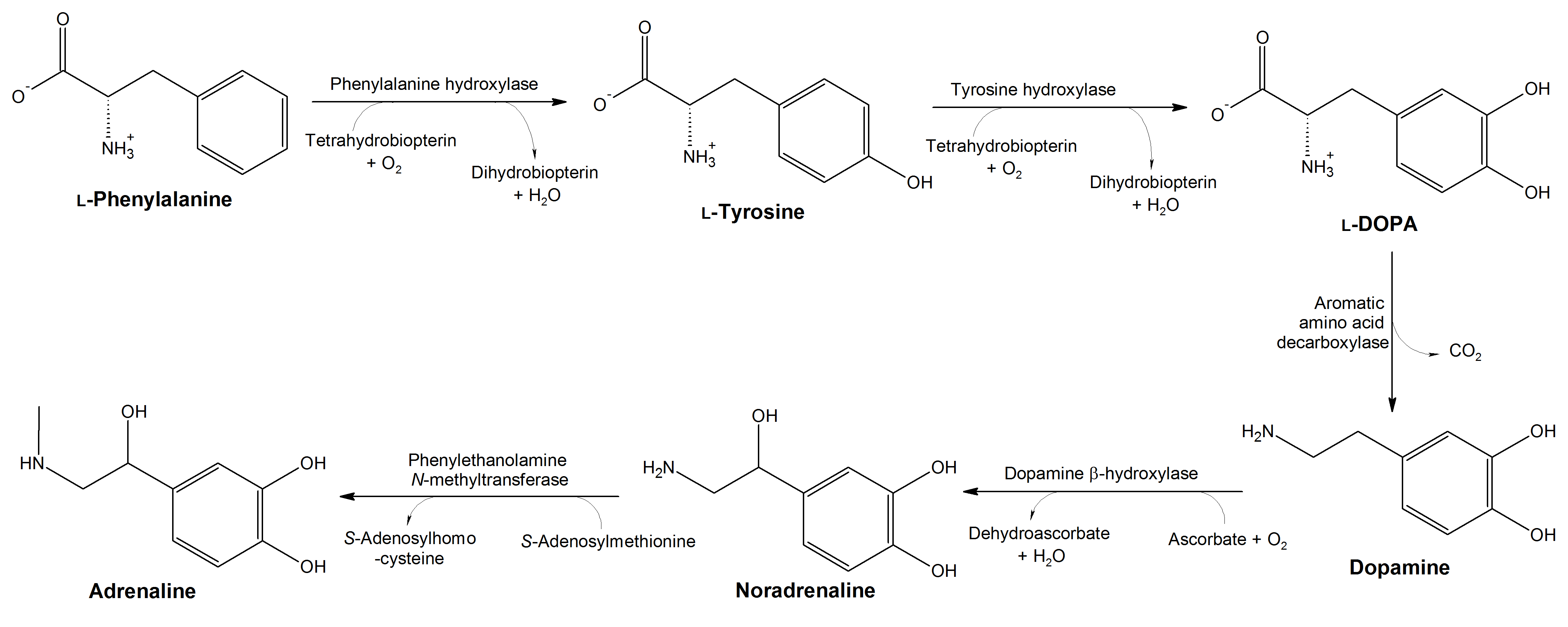Phenylalanine Derivatives