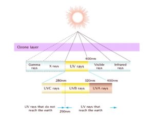 Ultraviolet Light Sun Spectrum