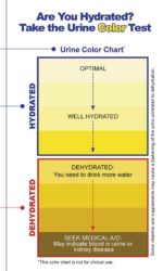 Yes, Your Urine Color DOES Have Meaning