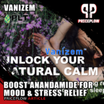 Vanizem: Enhance Mood and Conquer Stress by Boosting Anandamide Production