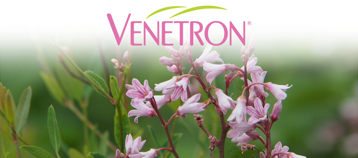 Venetron