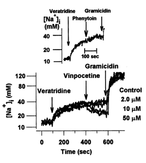 Vinpocetine Sodium