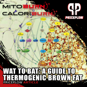 WAT to BAT: Using NNB Nutrition's MitoBurn and CaloriBurn to Boost Thermogenic Brown Adipose Tissue