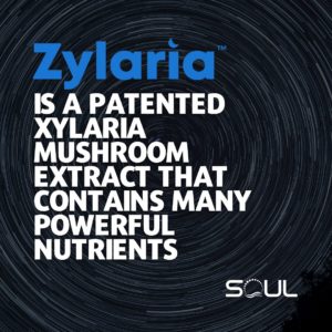 What is Zylaria?