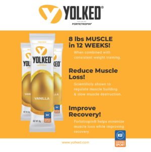 Yolked Muscle