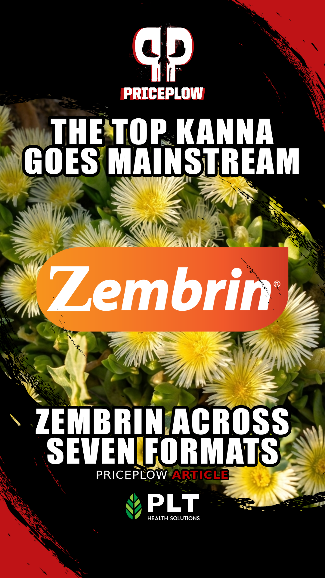 Zembrin® in the Wild: How the Top Kanna Extract Lands Across Seven Delivery Formats
