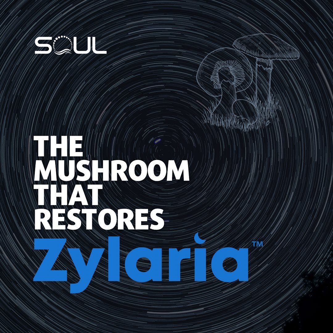 Zylaria: The Mushroom that Restores