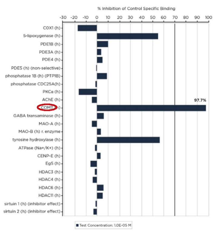Zynamite: Next-Generation Brain and Body Support from Mangiferin